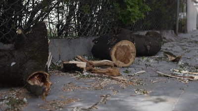 наслідки негоди на Тернопільщині наслідки негоди на Тернопільщині