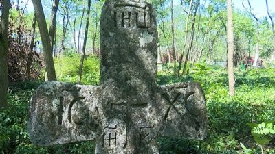 Досліджуватимуть культурне значення цвинтаря та хрестів: у селі на Вінниччині провели толоку Досліджуватимуть культурне значення цвинтаря та хрестів: у селі на Вінниччині провели толоку