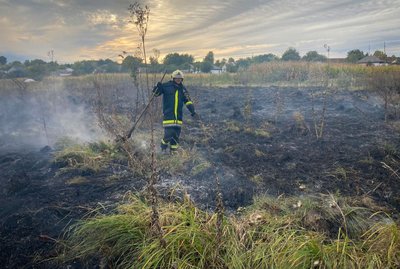 Вигоріло понад три гектари: за добу на Черкащині сталися чотири пожежі Вигоріло понад три гектари: за добу на Черкащині сталися чотири пожежі