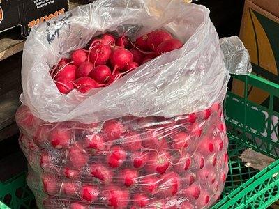 Ціни на ранні овочі, тернопільський ринок, Тернопіль, економіка, ціни, квітень 2025