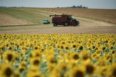 Жнива у Лозівському районі Харківщини Жнива у Лозівському районі Харківщини
