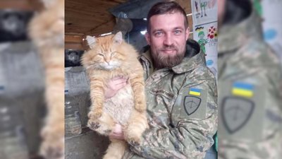 полеглі вінничани полеглі вінничани