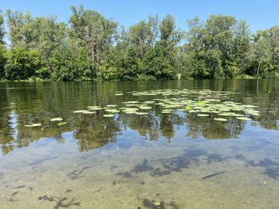 На полтавському пляжі рівень кишкової палички утричі перевищує норму На полтавському пляжі рівень кишкової палички утричі перевищує норму