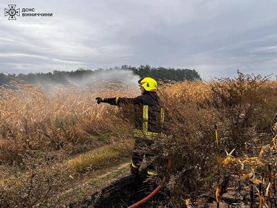 Загинули двоє людей: на Вінниччині рятувальники за добу гасили 22 пожежі Загинули двоє людей: на Вінниччині рятувальники за добу гасили 22 пожежі