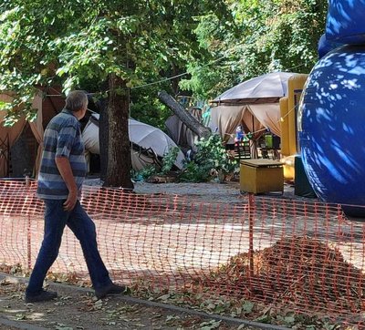У Полтаві дівчинка постраждала через обірвану гілку у парку "Перемога" У Полтаві дівчинка постраждала через обірвану гілку у парку "Перемога"