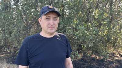 У Миколаївській області горіла лісосмуга. Полум'я охопило п'ять гектарів земель У Миколаївській області горіла лісосмуга. Полум'я охопило п'ять гектарів земель