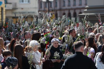 Вербна неділя, Франківськ