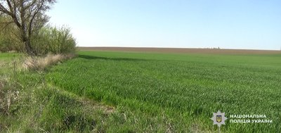 Засіяв пшеницею: жителя Одещини підозрюють у привласненні землі в охоронній зоні Засіяв пшеницею: жителя Одещини підозрюють у привласненні землі в охоронній зоні