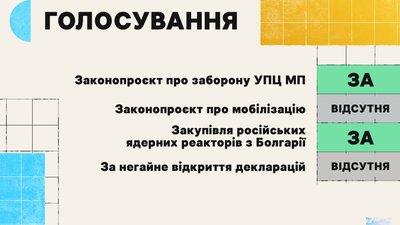 Голосування народної депутатки Олени Копанчук Голосування народної депутатки Олени Копанчук