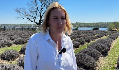 "Сезону фото у лаванді не буде": квіткові поля на Хмельниччині не витримали зимових морозів "Сезону фото у лаванді не буде": квіткові поля на Хмельниччині не витримали зимових морозів