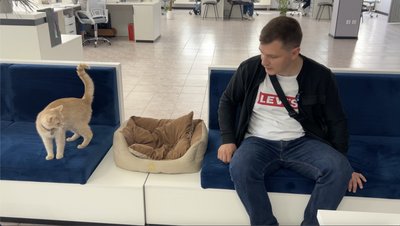 "Позаштатний охоронець": як кіт Грант став частиною колективу Уманського центру зайнятості "Позаштатний охоронець": як кіт Грант став частиною колективу Уманського центру зайнятості