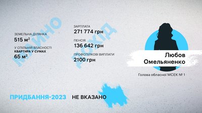 Що задекларували голови МСЕК на Сумщині Що задекларували голови МСЕК на Сумщині