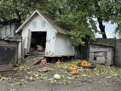 "У своїй хаті вже доживу". Як живуть останні мешканці покинутого села на Сумщині "У своїй хаті вже доживу". Як живуть останні мешканці покинутого села на Сумщині
