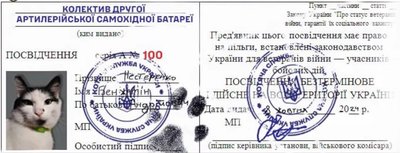 Історія бійця з "волинської сотки" та кота Бенджаміна, який ходить в СЗЧ Історія бійця з "волинської сотки" та кота Бенджаміна, який ходить в СЗЧ