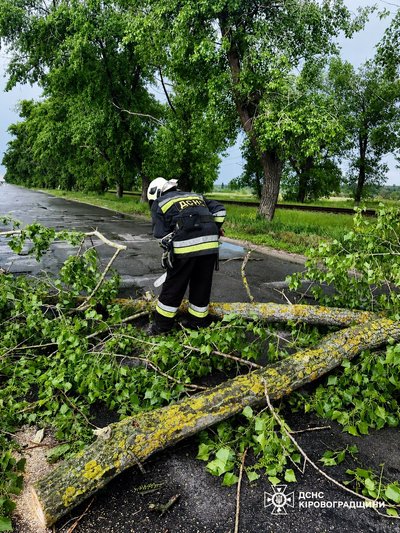 Гроза на Кіровоградщині: рятувальники прибирають повалені дерева Гроза на Кіровоградщині: рятувальники прибирають повалені дерева