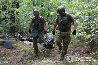 У лісосмузі на околиці столиці кияни знайшли дрони: обійшлося без постраждалих