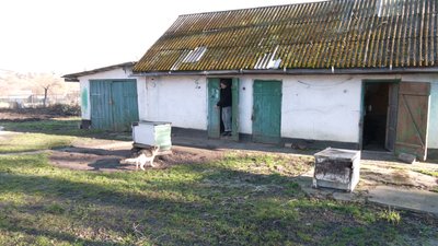 Андрій розповів, що бажав з дитинства мати господарство Андрій розповів, що бажав з дитинства мати господарство