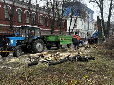 "Рано чи пізно воно впаде": у центрі Полтави спиляли аварійні дерева "Рано чи пізно воно впаде": у центрі Полтави спиляли аварійні дерева