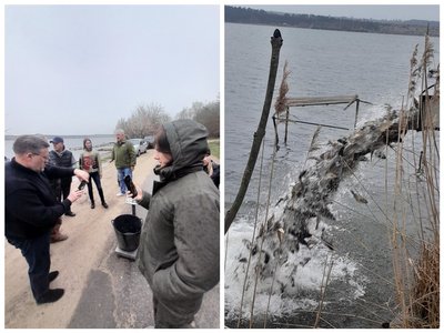 водойма, зариблення водойма, зариблення