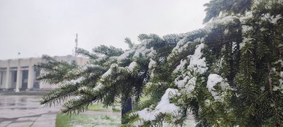 сніг у златополі сніг у златополі