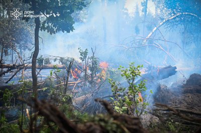 Всі осередки пожежі в Чорнобильській зоні локалізували Всі осередки пожежі в Чорнобильській зоні локалізували