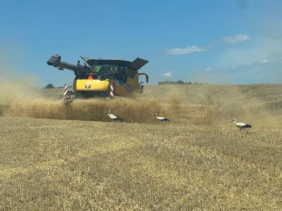 На Вінниччині стартували жнива На Вінниччині стартували жнива