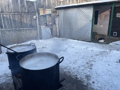 Як у Полтаві під час морозів доглядають за тваринами Як у Полтаві під час морозів доглядають за тваринами