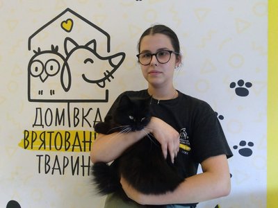 Доглядальниця за котами Данієла Вінце Доглядальниця за котами Данієла Вінце