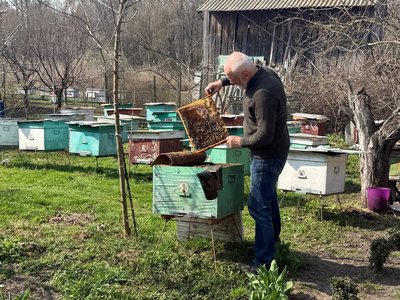 До 30% втрат: як бджоли перезимували на Черкащині До 30% втрат: як бджоли перезимували на Черкащині