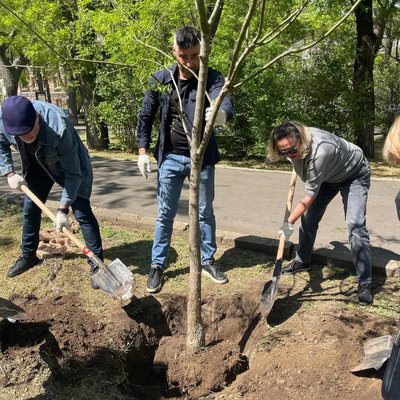 В Одесі висадили 60 софор на честь Дня пам'яті та Дня матері В Одесі висадили 60 софор на честь Дня пам'яті та Дня матері