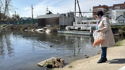 "Вони мені як діти": у Полтаві пенсіонерка більше шести років годує нутрій на березі Ворскли "Вони мені як діти": у Полтаві пенсіонерка більше шести років годує нутрій на березі Ворскли