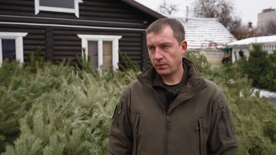 Скільки коштує новорічна ялинка: на Чернігівщині продавати дерева почали раніше ніж торік