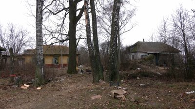 "Їхню біду сприймаю, як свою особисту": на Чернігівщині чоловік влаштував притулок для 30 котів "Їхню біду сприймаю, як свою особисту": на Чернігівщині чоловік влаштував притулок для 30 котів