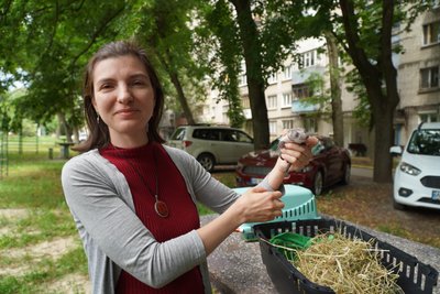 Мама загинула після атаки РФ. У Дніпрі рятують шістьох їжаченят, які вижили під час обстрілу міста 15 червня Мама загинула після атаки РФ. У Дніпрі рятують шістьох їжаченят, які вижили під час обстрілу міста 15 червня