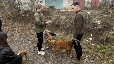 Евакуація тварин UAnimals Донецька область 9 листопада 2025 рік Евакуація тварин UAnimals Донецька область 9 листопада 2025 рік