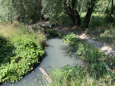 У Полтаві продовжують забруднювати Пушкарівські ставки: хто до цього причетний У Полтаві продовжують забруднювати Пушкарівські ставки: хто до цього причетний