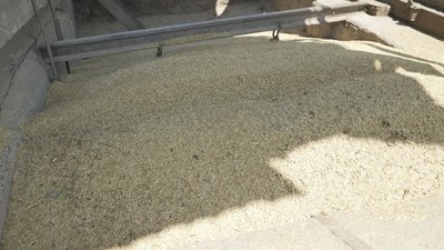 На Вінниччині стартували жнива ранніх зернових На Вінниччині стартували жнива ранніх зернових