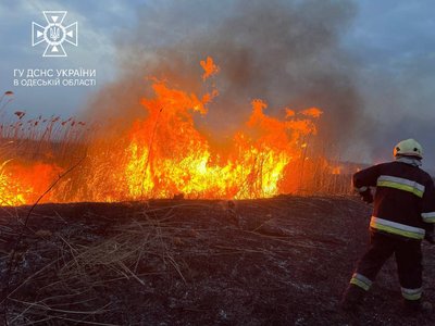 Дим в Одесі: у місті горять поля зрошення та очерет Дим в Одесі: у місті горять поля зрошення та очерет