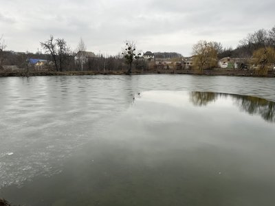 "Риба вся спливає": на межі Полтави та Горбанівки гине риба у ставках "Риба вся спливає": на межі Полтави та Горбанівки гине риба у ставках