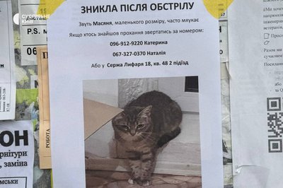 Обстріл Києва: в Деснянському районі "шахед" пошкодив десятиповерховий будинок Обстріл Києва: в Деснянському районі "шахед" пошкодив десятиповерховий будинок