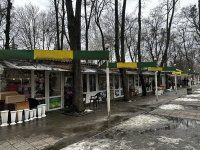 Тюльпани, троянди, альстромерії: скільки коштують квіти у Полтаві перед 8 березня