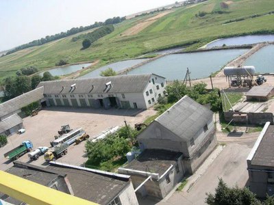 спиртзавод, козлівський спиртзавод