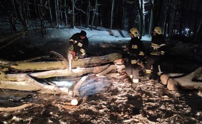 68 населених пунктів без світла: на Львівщині продовжують ліквідувати наслідки снігопаду 68 населених пунктів без світла: на Львівщині продовжують ліквідувати наслідки снігопаду