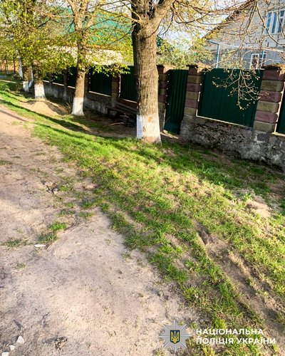 В’їхали в дерево на підводі: двоє хлопців травмувалися внаслідок ДТП на Рівненщині В’їхали в дерево на підводі: двоє хлопців травмувалися внаслідок ДТП на Рівненщині