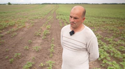 Дефіцит азотних добрив ставить під загрозу врожай на Черкащині Дефіцит азотних добрив ставить під загрозу врожай на Черкащині
