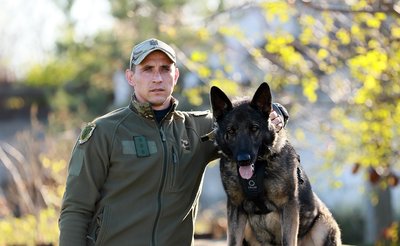 Розшукав 10 людей: поліцейська вівчарка Арчі з Хмельницького отримала всеукраїнську нагороду Розшукав 10 людей: поліцейська вівчарка Арчі з Хмельницького отримала всеукраїнську нагороду