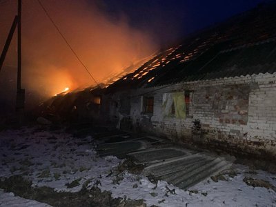 Лиман Вовчанськ свині Лиман Вовчанськ свині