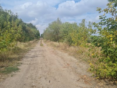 Як живуть 15 мешканців віддаленого села Лісове на Житомирщині без магазину і медпункту Як живуть 15 мешканців віддаленого села Лісове на Житомирщині без магазину і медпункту