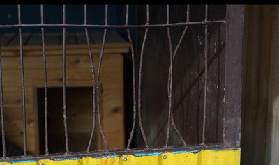 Згоріли фури, травмовані собаки: наслідки удару армії РФ по Сумах Згоріли фури, травмовані собаки: наслідки удару армії РФ по Сумах
