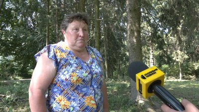 Занедбана пам'ятка садово-паркового мистецтва: у Івницькому парку аварійні дерева падають на дорогу Занедбана пам'ятка садово-паркового мистецтва: у Івницькому парку аварійні дерева падають на дорогу